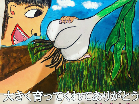 【500箱売れた】まるでお芋❗️幻の生にんにく1キロ🧄生産量日本一青森十和田🌟高級品種白玉王（特典付き）