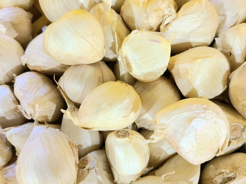 濃厚で甘い！大粒福地ホワイト六片にんにく 1kg（農薬・化学肥料不使用／バラ）