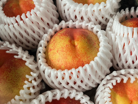 濃厚スイートビーナス　ご家庭用Ｂ品（約1㎏）