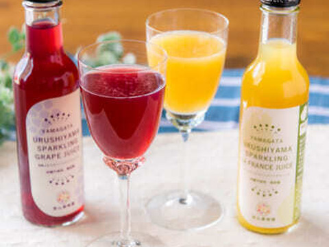 【ギフトや手土産に】砂糖不使用★スパークリングジュース 200ml 2種5本詰め合わせ