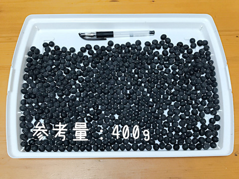 【自然栽培】丹波黒大豆Ｂ品 800g★農薬肥料不使用の兵庫県産黒豆 [令和７年産]
