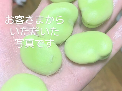 【セット商品】そら豆15個🫛と、スナップエンドウ🫛各15個 【計30個】今の時期が柔らかい！🫛※スナップエンドウの皮が少し固くなってきました（6/16）中の豆が大きめなので豆ご飯等に