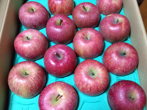 【販売中！人気商品】青森県産りんご「サンふじ」家庭用 キズ有 約10kg(5kg×2箱) 【美味・光センサー選果済】