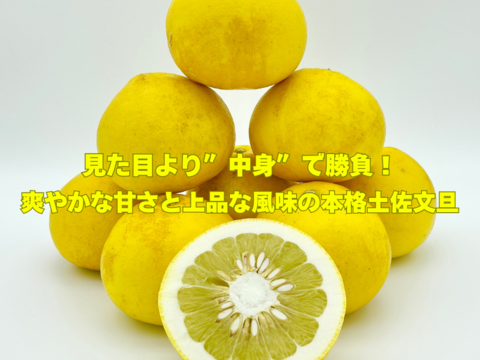 【日本ギフト大賞受賞】【在庫僅少特価品】園主こだわり土佐文旦 訳あり 7kg （4L～L）　　　　土佐文旦 ぶんたん ブンタン 高知  みかん 国産みかん 果物 柑橘
