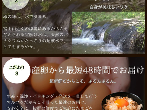 とろ～りコク旨！静岡の自然の恵みがギュッと詰まった新鮮たまご『富士の名月』【10個入×2PC】