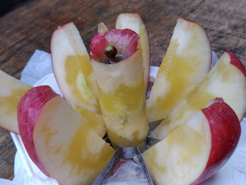 🍎最高糖度20度オーバーりんご🍎わずか1%の奇跡『幻の百年樹齢林檎』リンゴ贈答用3個100セット限定