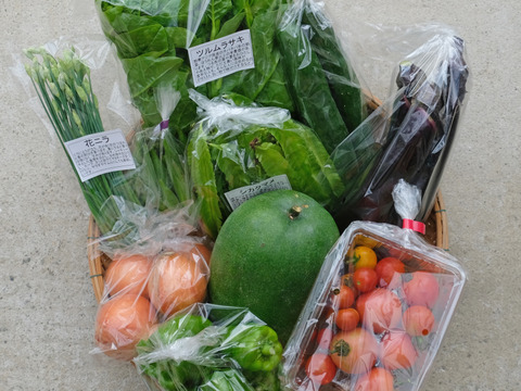 【農薬不使用】夏の高原野菜セット Lサイズ【９～１０品目】