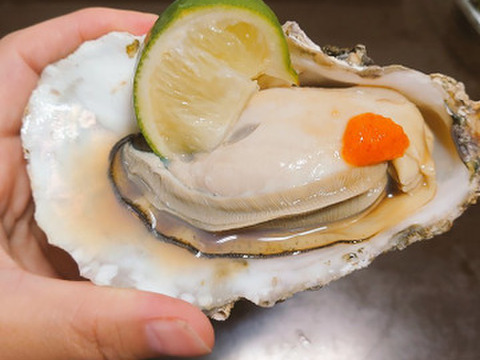 【10％OFF設定中】生食用１３ｋｇ殻付き 牡蠣 殻付き牡蠣 殻付き牡蛎 牡蛎 かき カキ 松島牡蠣屋 BBQに 貝類 海産物 オイスター oyster バーベキュー食材 貝