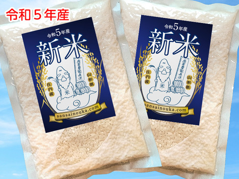【特A受賞米】はえぬき3合×2袋　さっぱり食感！令和5年山形県庄内産　白米