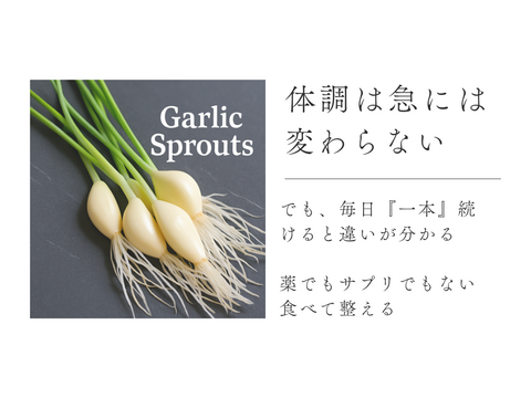 お試し価格《新規15名様限定》栄養満点にんにくスプラウト（10本）一品分のレシピ付き