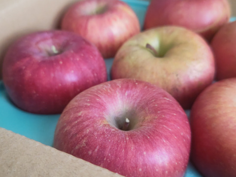 【訳あり】甘〜い！サンふじ👑お得用5kg入り✨毎日のりんごにどうぞ！