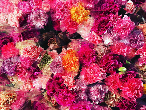 東北1の生産量‼️名取のMIXカーネーション15本💐