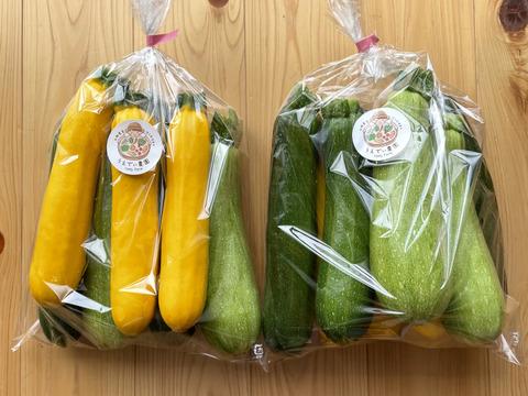 濃甘！ズッキーニ3色 3kg 農薬・化学肥料不使用：埼玉県産のその他