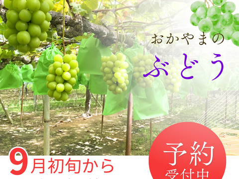 【最高ランク特秀】晴れの国岡山 シャインマスカット大粒1.2kg（600g×2）