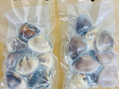 液体冷凍はまぐり　1個40-60 g　   約500g×2パック