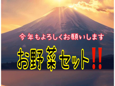 今年もよろしくお願いします野菜セット‼️キャベツ入‼️