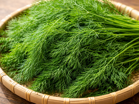 【限定】イタリアンパセリ100gディル30gルッコラ200gお料理で大活躍‼️アクアポニックス野菜🐟