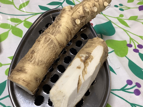 西洋わさび❗️【200g】肉や魚と相性抜群❗️ガツンと香る爽やかな辛さ✨細めサイズ