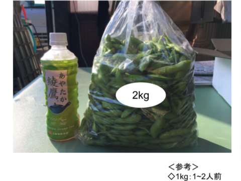 ☆食べチョク初出品☆ 枝豆の名産地・新潟黒埼産 幻の肴豆（3kg）