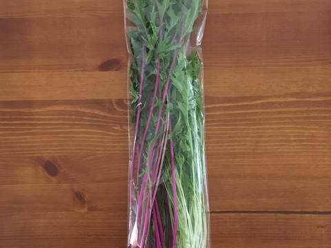 いつもとちょっと違う＋定番野菜セット・Mサイズ（12点・100サイズ）　＜農薬・化学肥料不使用＞