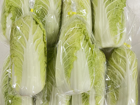 【京都府産】旬のこだわり野菜セット　Sサイズ（５品）