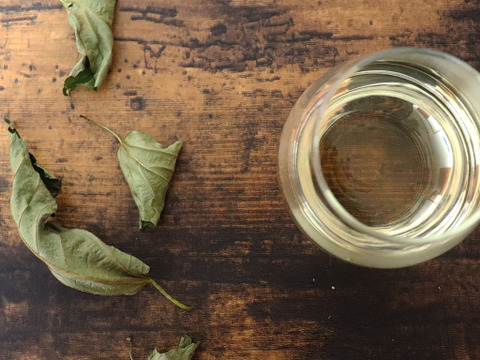 白神の爽やかで華やか天然アロマ【森の香木のハーブティー５包】ポットで１５杯分