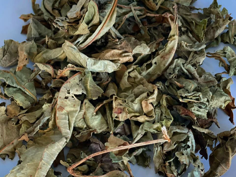 【新茶　農薬化学肥料不使用】とろみが美味しい！バオバブ茶(2g×15個)