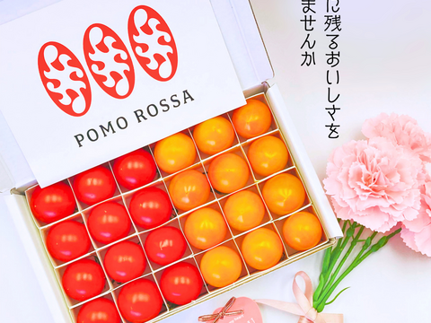母の日ギフト｜ポモ・ロッサ　陽だまりセレクション｜赤とオレンジ、2種のフルーツトマト食べ比べギフト24粒入り