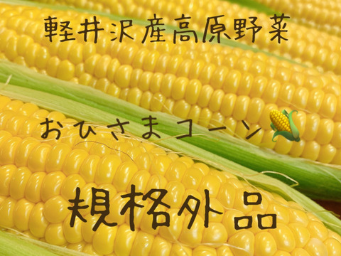 『規格外品』甘〜いおひさまコーン🌽 軽井沢町産高原野菜 とうもろこし 3.5kgセット