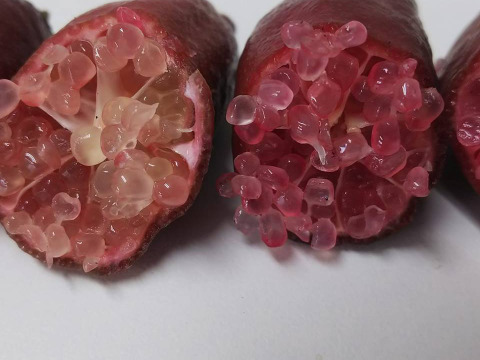 柑高地年間パック４.５キロ入り１２回