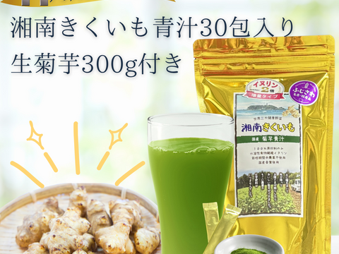 【11月限定‼︎】生菊芋300g付き！湘南きくいも青汁30包セット