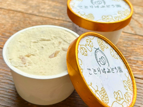 【冬ギフト】ぶどう農家のこだわりジェラート＆シャーベット　5種各3
個(計15個)