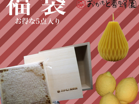 【福袋】非加熱非加温！国産純粋「巣蜜(桐箱入り)」含む5点セット