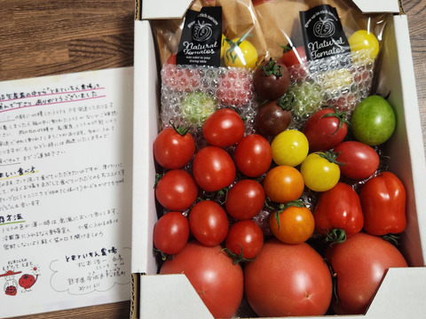 【今だけ800円OFF】【冬ギフト】【大満足セット】トマト、ミニトマト、カラフルトマトの詰め合わせ7種の1.5キロ