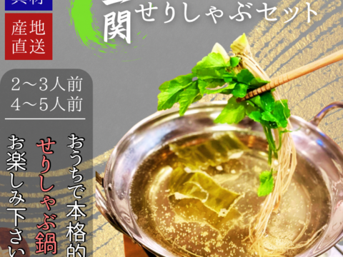 【4〜5人前】（春セリ）根まで美味しいセリのしゃぶしゃぶ 冬のあったか鍋  比内地鶏出汁のしゃぶしゃぶ 三関セリ  人前　鍋の主役せり セリ鍋 秋田 しゃぶしゃぶ 野菜 お取り寄せ 三関せり 芹