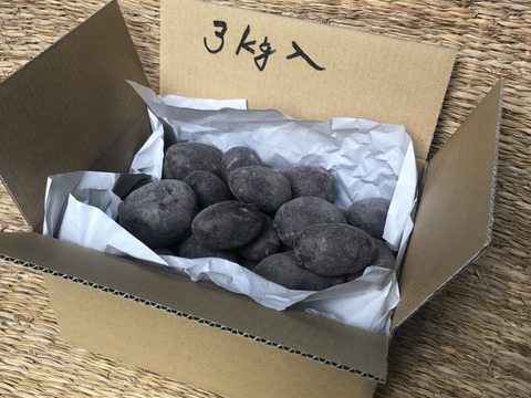 海外輸入 インボイス 甘くてホクホク！希少な馬鈴薯タワラマゼラン3kg：大阪府産の 野菜