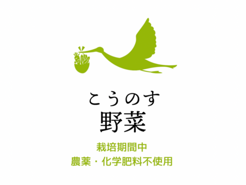 小松菜4kg(200g×20袋) 農薬・化学肥料不使用
