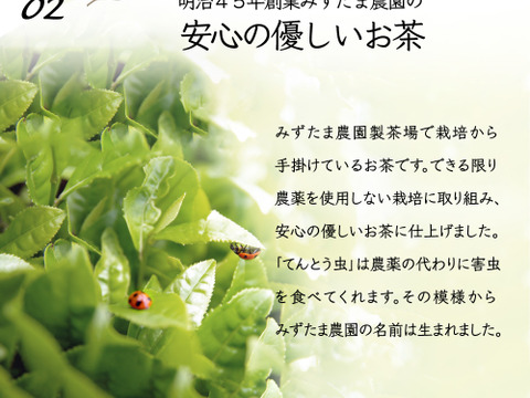 【合わせ買い】ほうじ茶粉末225g 茶葉の栄養まるごと 静岡 牧之原