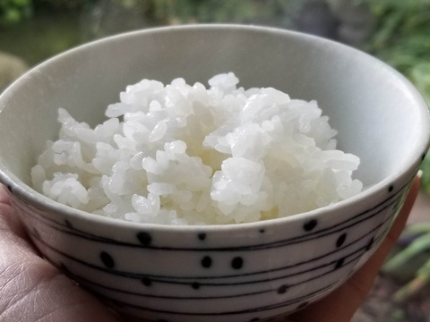 【食べ比べ】令和4年産　特別栽培米つや姫 &雪若丸各精白米2kg