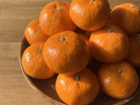 【家庭用】温州みかん　2.8kg