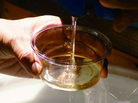 【送料相当分値引き】群馬県産生はちみつ お得な大容量 600g