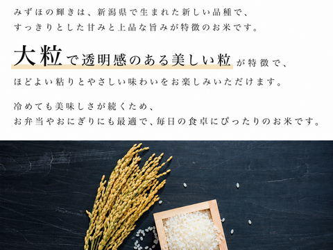 令和8年 新米 新潟県産 みずほの輝き 和泉 (10kg5kg×2)【受注後精米