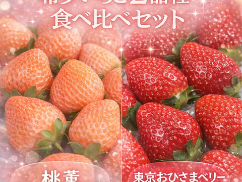 希少いちご【桃薫・東京おひさまベリー食べ比べセット】（桃薫約300g＋東京おひさまベリー約350g／１セットあたり） 贈答 高級 イチゴ 苺 果物 プレゼント 誕生日、バレンタインデー、節分、受験、