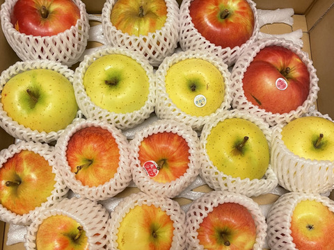 2024年産完売御礼✨特別栽培りんご🍎🍏おまかせりんご3種食べ比べ5kg🍎🍏 訳ありご家庭用 りんご詰合せ 化学肥料不使用 青森県特別栽培認証 皮ごとおいしい🍴