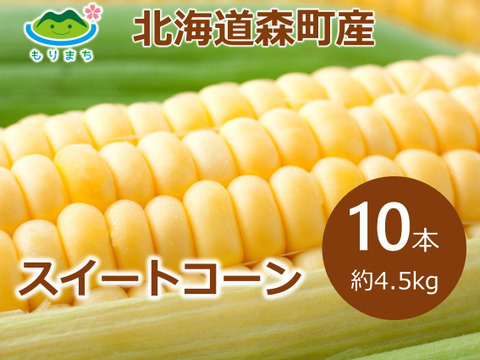 北海道の朝採りスイートコーン１０本
