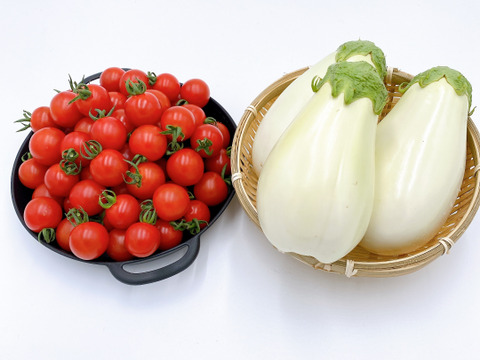 【季節限定】ふわとろ白ナス(10本)と完熟ミニトマト(詰め合わせ2kg)のセット