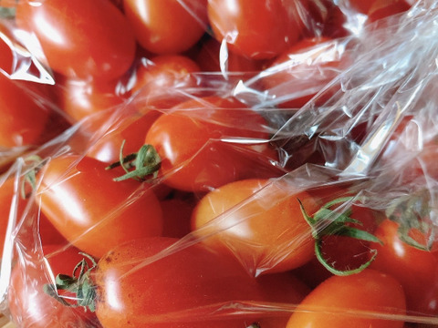 むらざと自然農園のミニトマト約1キロ
農薬化学肥料一切不使用！
岐阜県加茂郡白川町黒川！
自然豊かな黒川で太陽をいっぱい浴びて育った美味しいミニトマトです！！