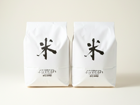 【蔵出し特価】冷めても旨い！おにぎり・お弁当専用「熟成はえぬき」10kg（5kg×2）山形県産