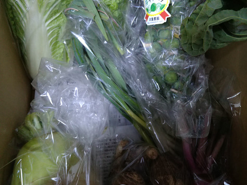 【新春　1月発(^^♪】双葉農園の”イチオシ”の7種の野菜セット　 〜from 名水の里　神奈川県秦野市