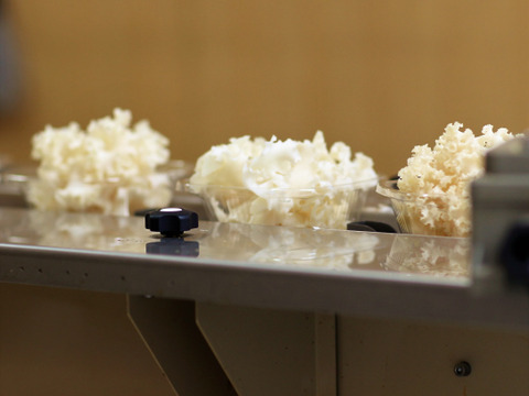 コリコリ新食感！はなびらたけお手軽10パック入り